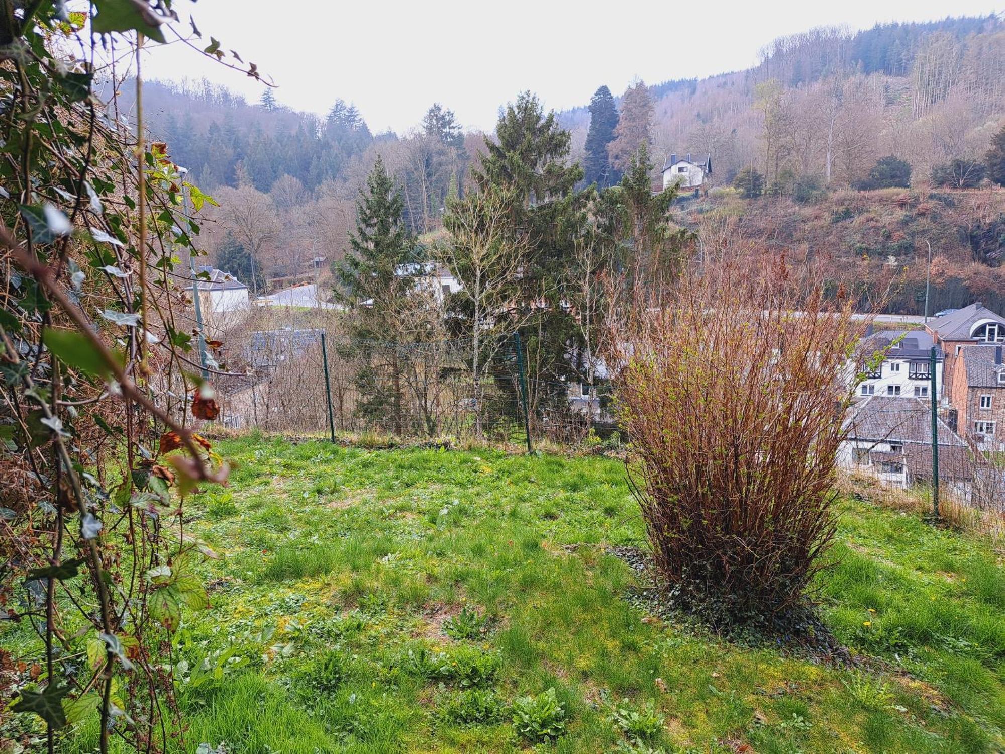 Gite Villa Le Monde - La Roche-En-Ardenne Exterior foto